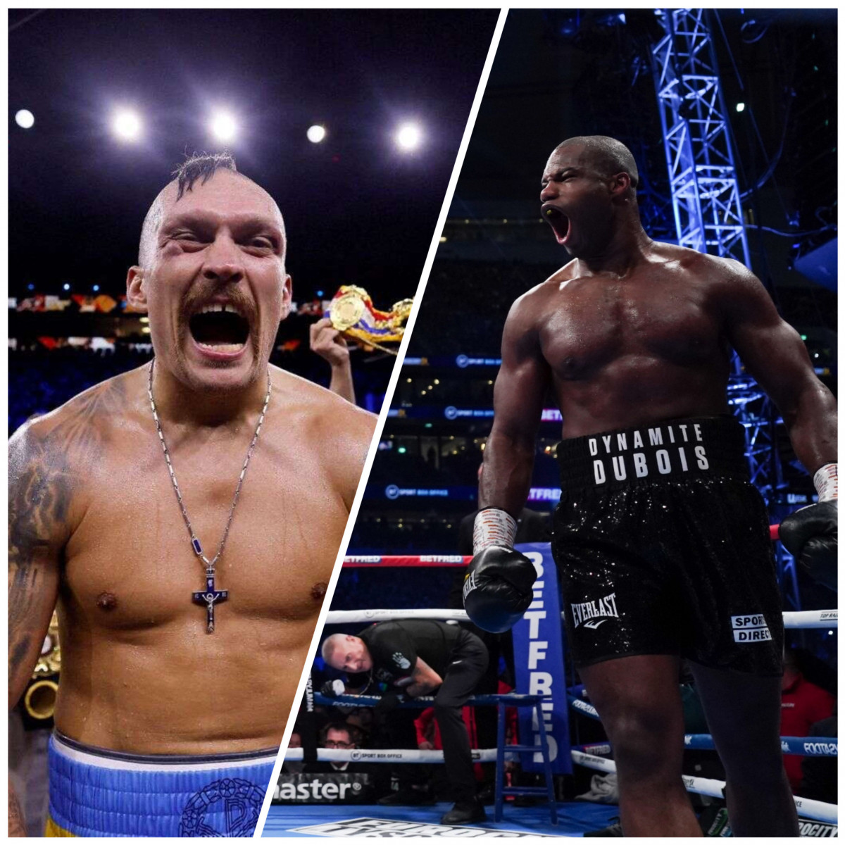 Переговоры по бою Усика и Дюбуа провалились, объединительный бой WBA уходит на торги