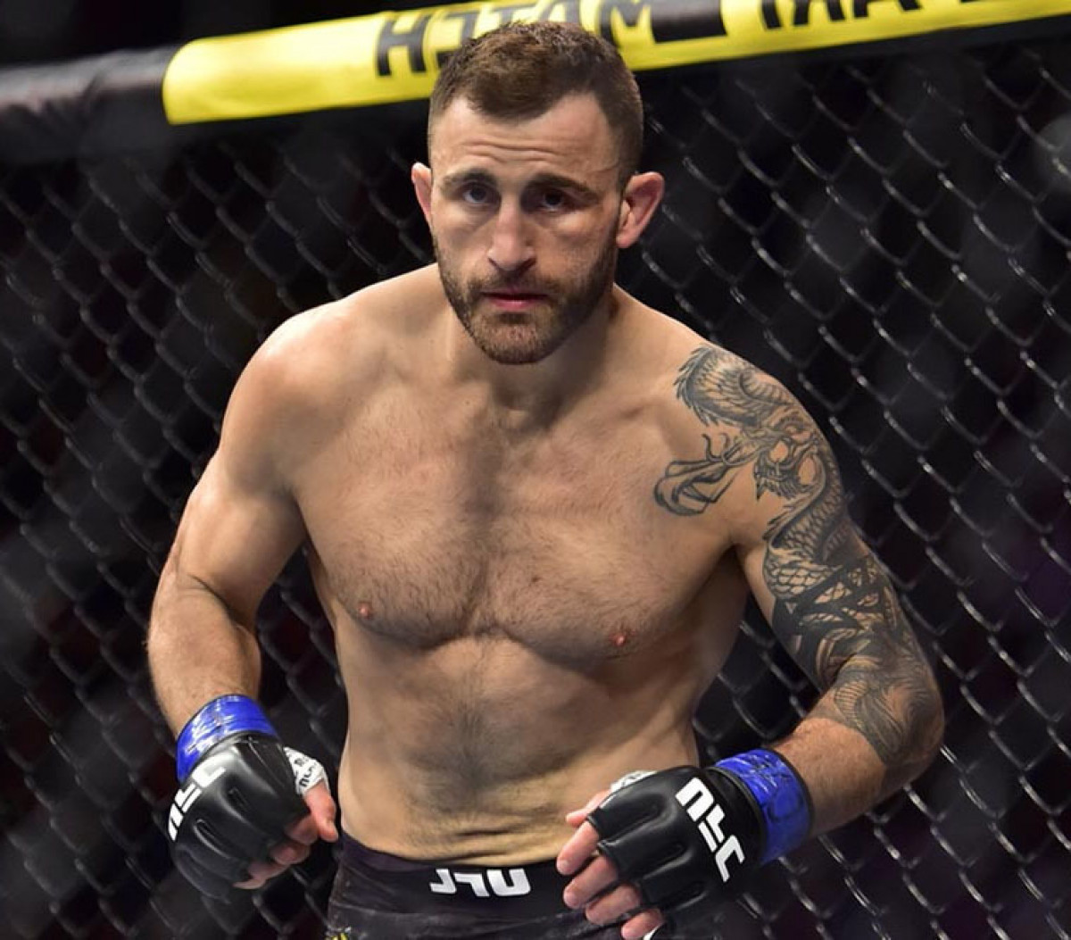 Волкановски считает, что если Оливейра и финиширует Дариуша, то в стойке, а не в партере