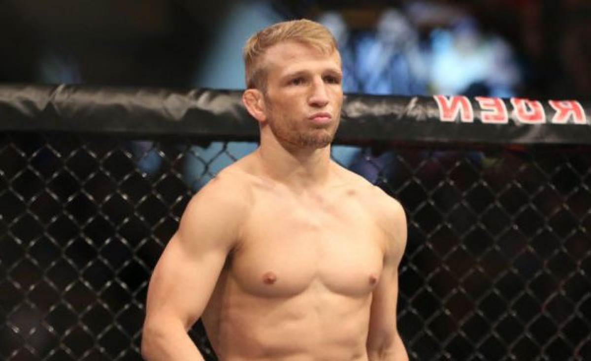 Диллашоу будет болеть за О’Мэлли в бою со Стерлингом, но считает, что Алджамейн «слишком хорош»