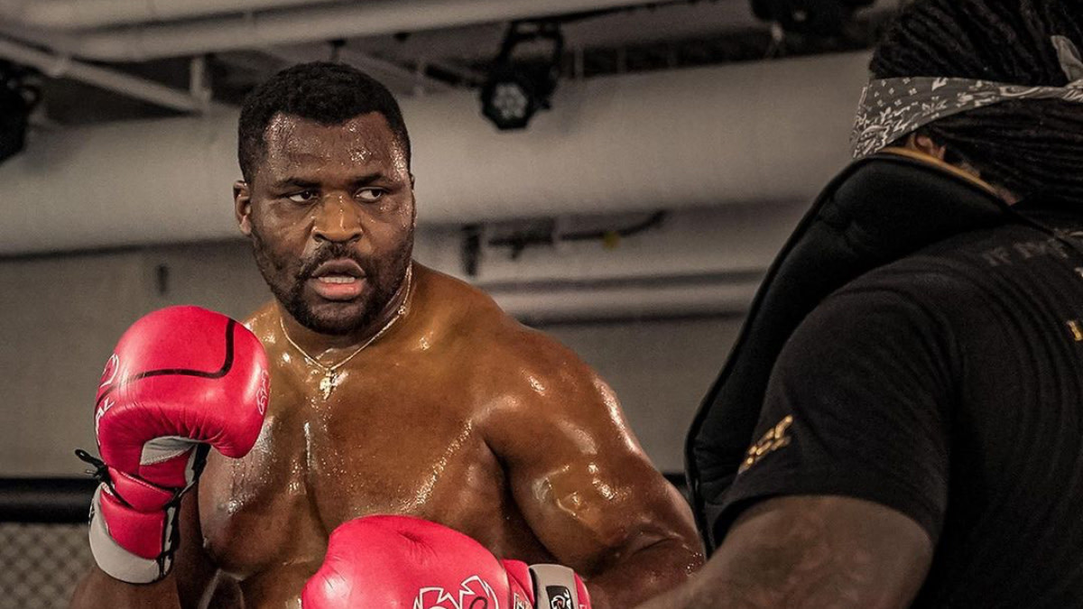 Франсис Нганну: «Фьюри бьет очень тяжело, я пропускал удары и чувствовал это»