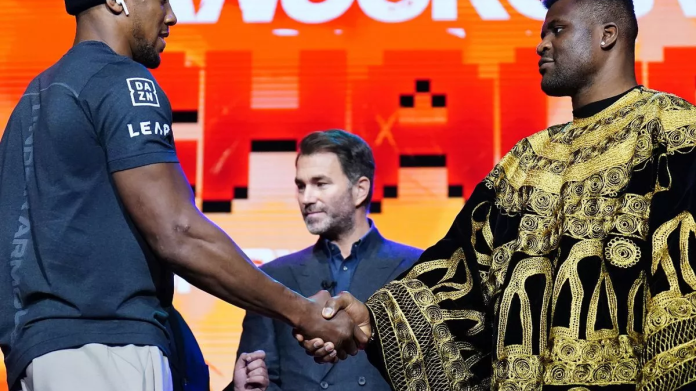 Нганну: «Я слышал, что у Джошуа слабый подбородок. Надеюсь, смогу это проверить»