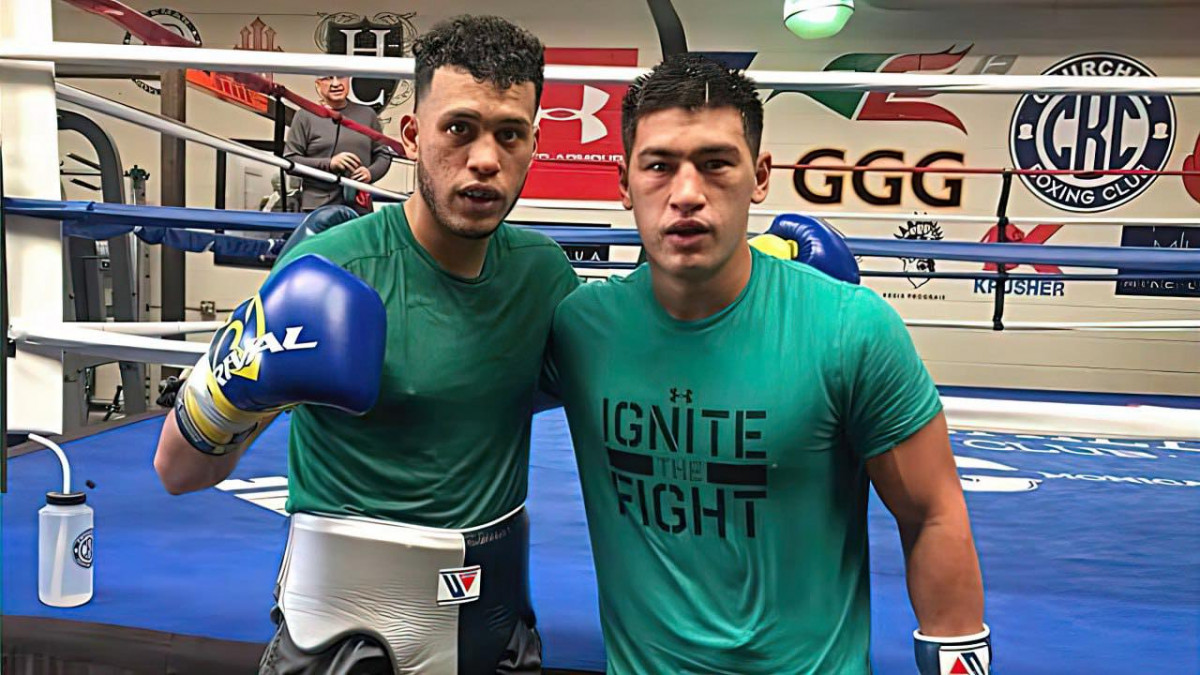 У Дмитрия Бивола есть возможность вернуть титул WBC