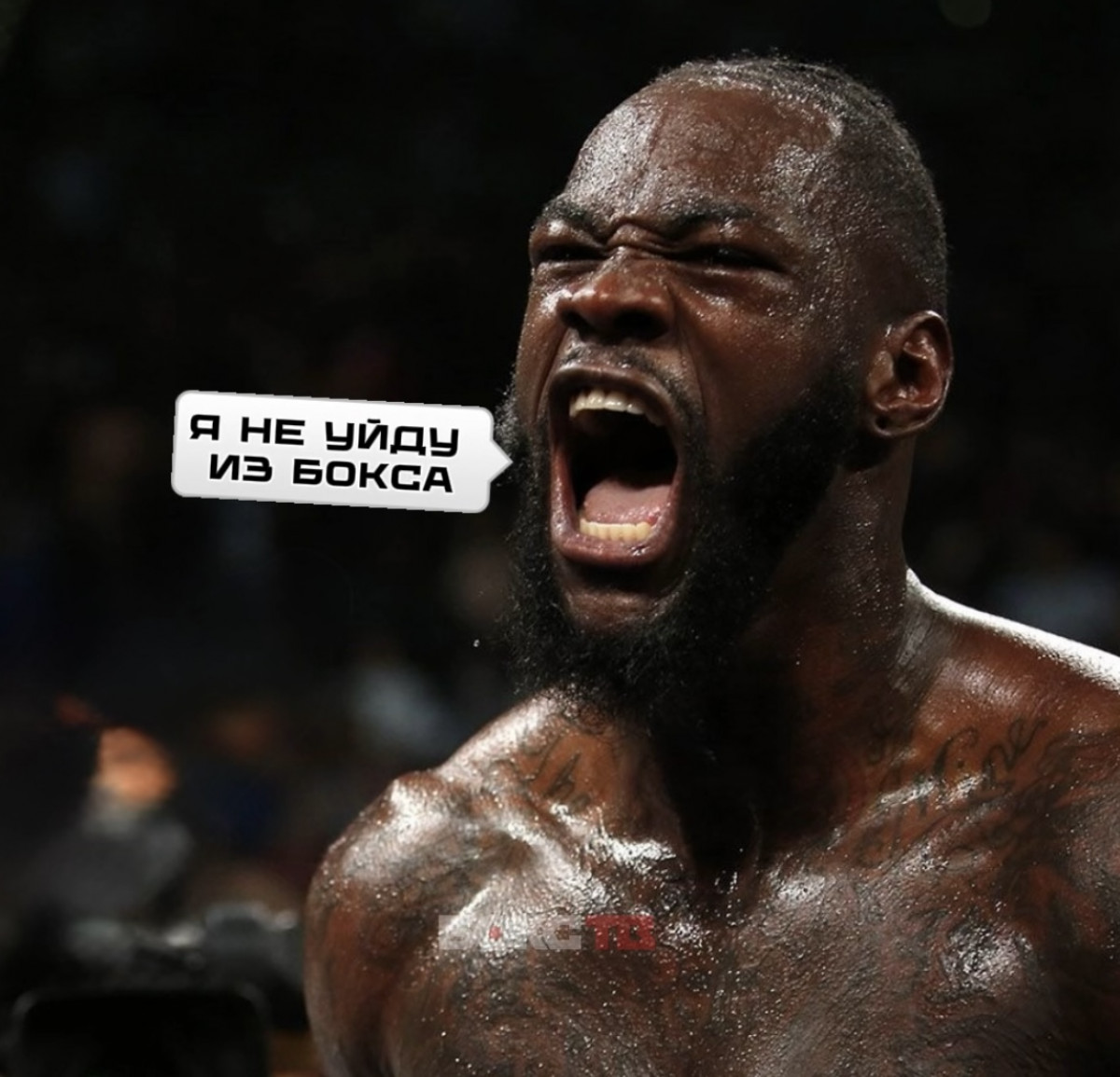 Деонтей Уайлдер планирует быть в боксе еще 10 лет