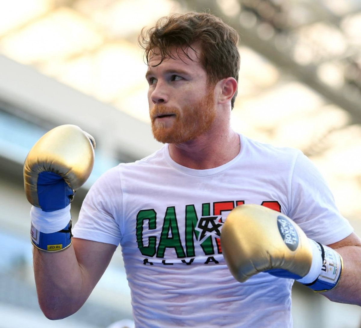 Канело отказался от титульного боя