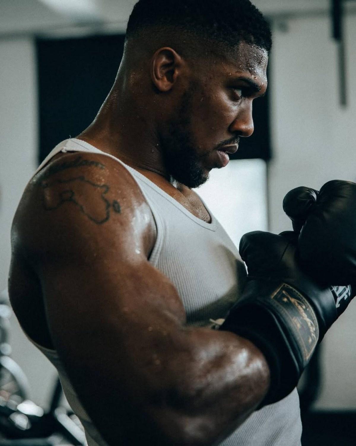 Александр Усик рассказал, что Энтони Джошуа сохранил мотивацию двигаться дальше