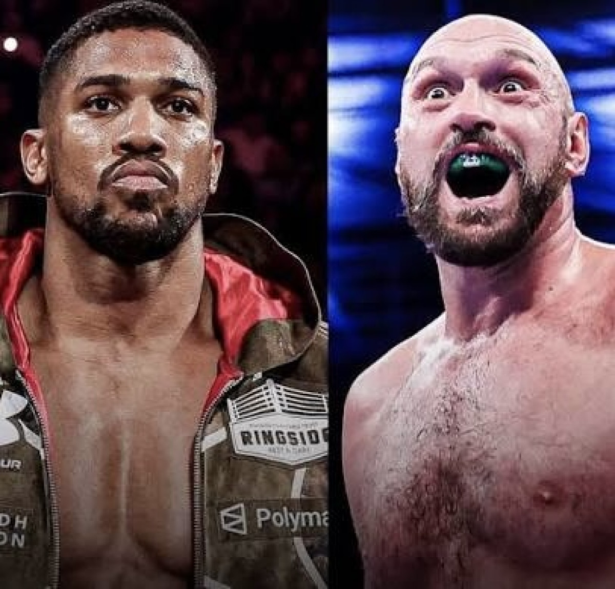 Карл Фроч разложил по фактам возвращениеТайсона Фьюри на ринг